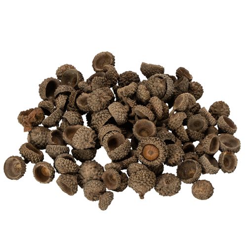 Product Natural acorn caps, decorative bowls for autumn and Advent, 2cm, 300g