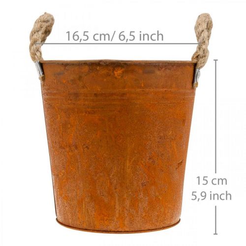 Product Metal pot with handles, herb pot, rust decoration Ø16.5cm H15cm