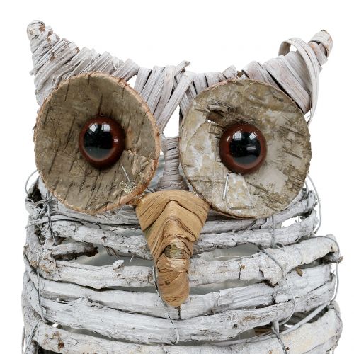 Product Owl for planting White 23cm