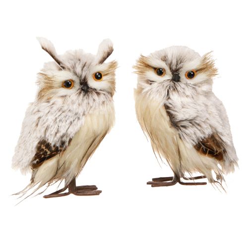 Floristik24 Owl Figures Decoration Owl Pair in Cream Brown 15cm 2 Pcs