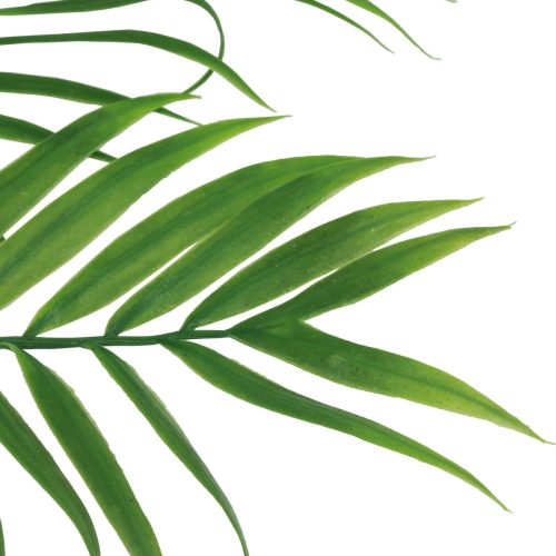 Product Artificial Palm Fronds Artificial Green Plants 56cm 3pcs