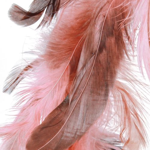 Product Feather wreath made of pheasant feathers decoration in pink Ø20cm 3pcs