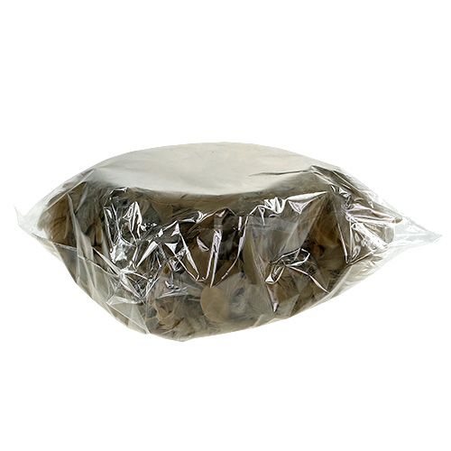 Floristik24 Spring wreath to hang Ø20cm brown 3pcs