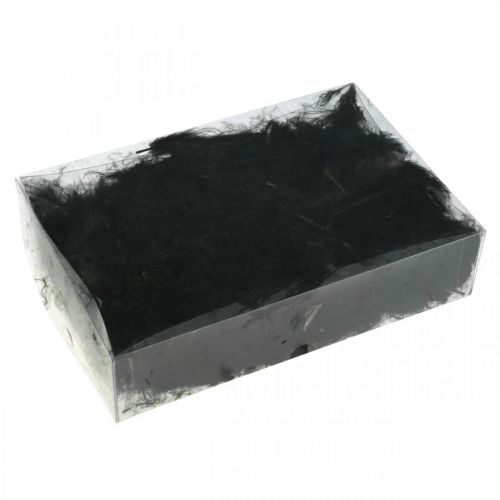 Floristik24 Feathers Black Real bird feathers for crafting Spring decoration 20g
