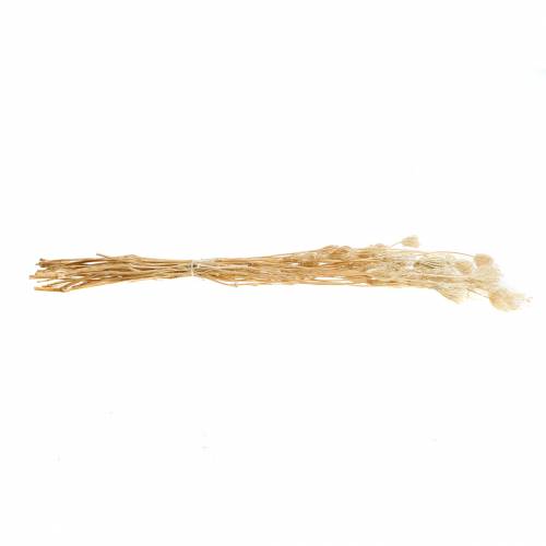 Product Bleached dried flowers fennel 100g