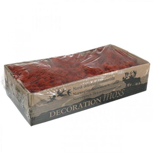 Product Decorative Moss Red Siena Natural Moss for Crafts Dried, colored 500g