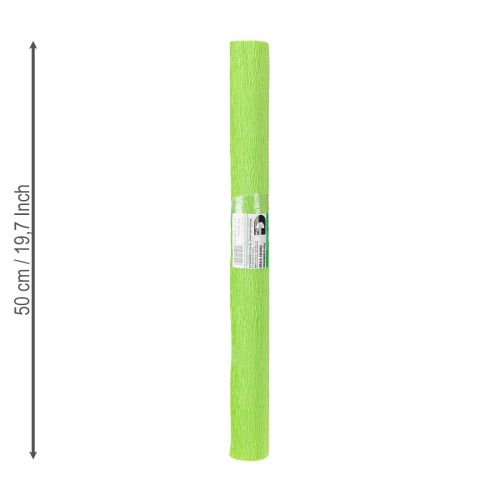 Product Florist crepe paper light green 50x250cm