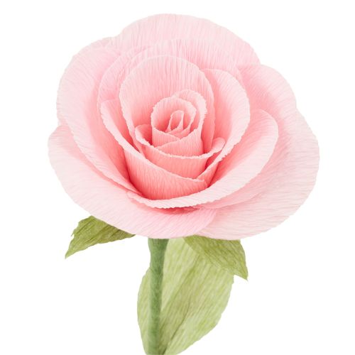 Product Florist crepe paper grass green 50x250cm