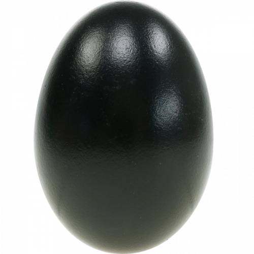 Product Goose Eggs Black Blown Eggs Easter Decoration Pack of 12