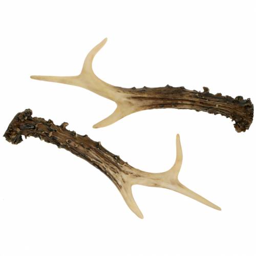 Product Deco antler country house decoration table decoration 23cm 2pcs