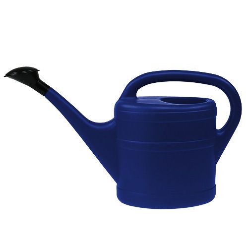 Product Watering can 5l blue