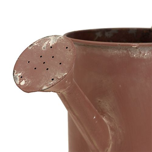 Floristik24 Watering can brown Ø12cm H12cm