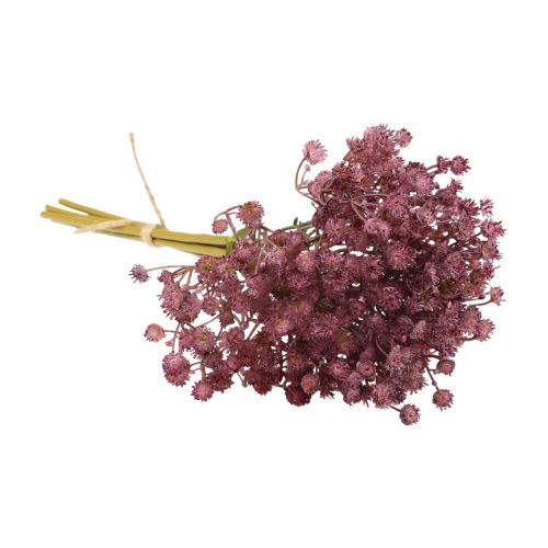 Product Gypsophila Gypsophila artificial purple 35cm 5 pcs