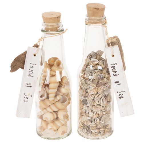 Product Glass bottle decoration with shells and pendant, maritime table decoration, 17cm, 2 pieces