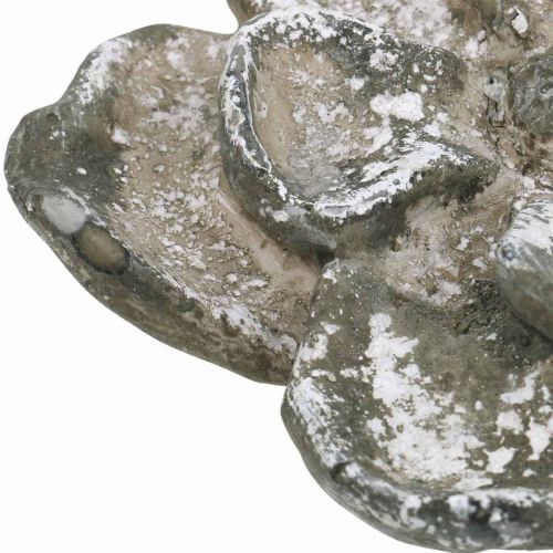 Floristik24 Grave decoration, concrete decoration, garden decoration, concrete rose Ø15.5cm