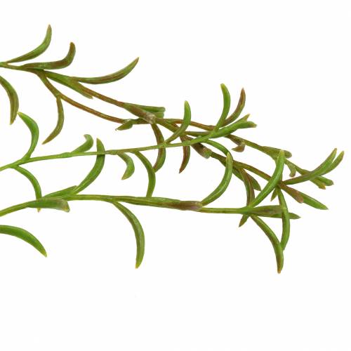 Floristik24 Coral cactus artificial Rhipsalis hanger 90cm