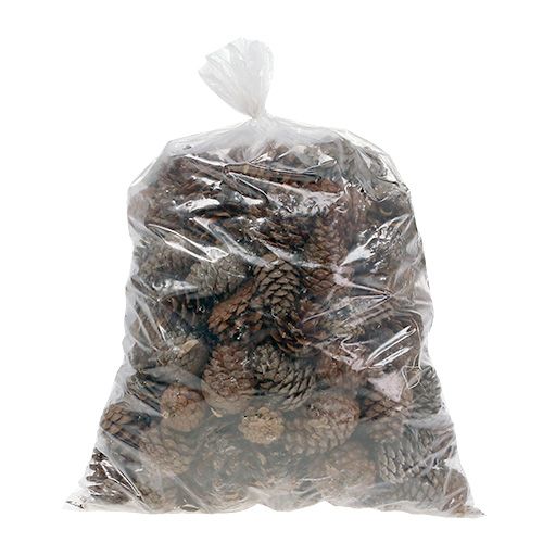 Product Halepensis cones natural 5kg