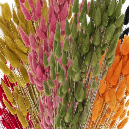 Product Rabbit Tail Grass Lagurus Dried Colored 60cm 50g