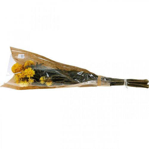 Floristik24 Strawflower yellow dried dried flowers decorative bunch 75g