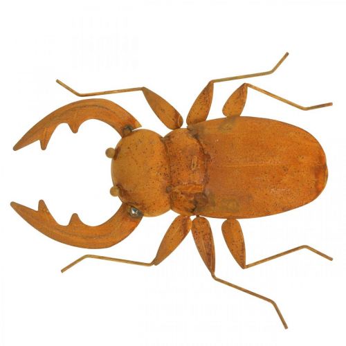 Floristik24 Stag beetle, garden figure, metal decoration made of patina L25cm