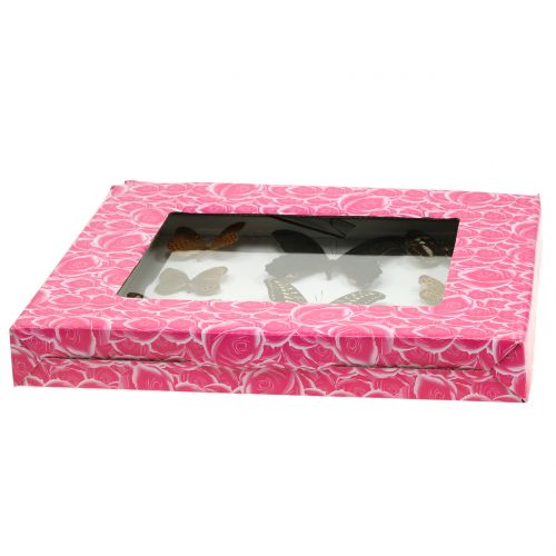 Floristik24 Showcase butterfly 28cm x 25cm