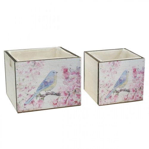 Floristik24 Plant boxes with bird print, planter, spring, decorative box for planting, vintage look L17/15cm H13/11cm set of 2