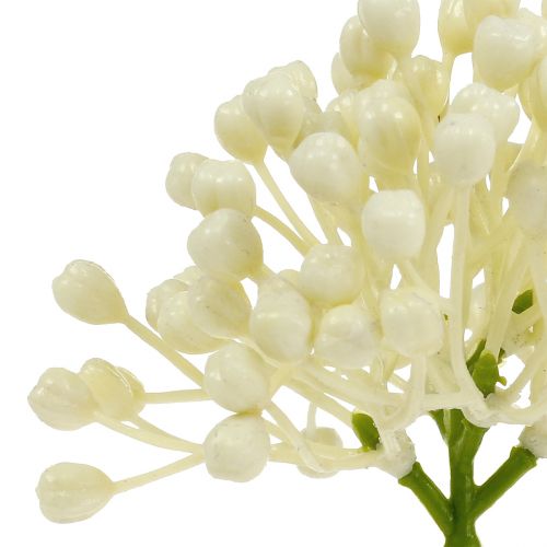 Product Hydrangea bud pick 22cm cream 12pcs