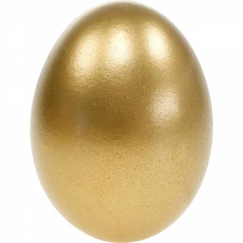 Product Chicken Eggs Golden Blown Out Eggs Easter Decoration 10 Pcs