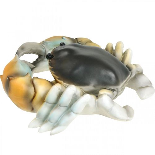 Floristik24 Sea creature, beach crab, maritime decoration orange-brown 31×25cm