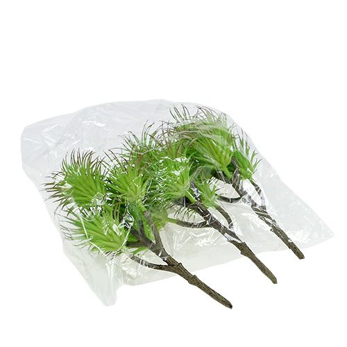 Floristik24 Cactus branches 20cm light green 3pcs