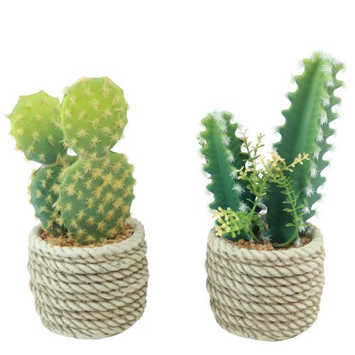 Product Cactus in pot artificial cactus assorted 28cm 2pcs