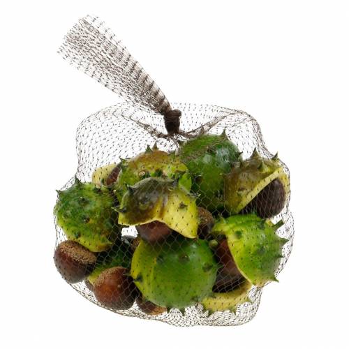 Floristik24 Deco chestnuts in the net green 24pcs