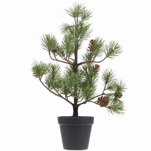Floristik24 Artificial pine in a pot Christmas tree with cones 52cm