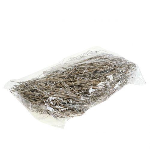 Floristik24 Pine needles washed white 300g