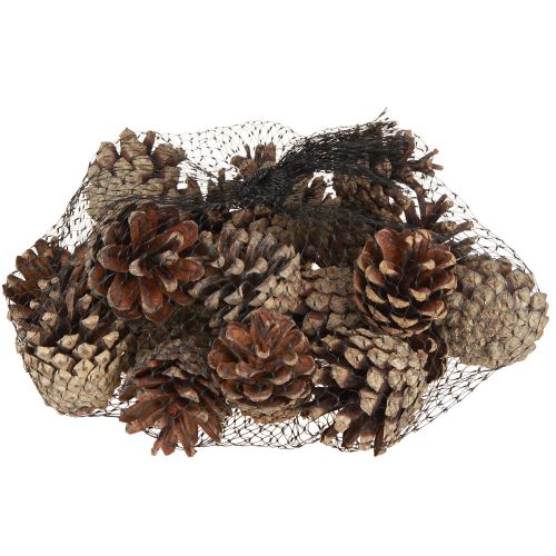 Product Pine cones decoration Scots pine cones natural 4-5cm 250g