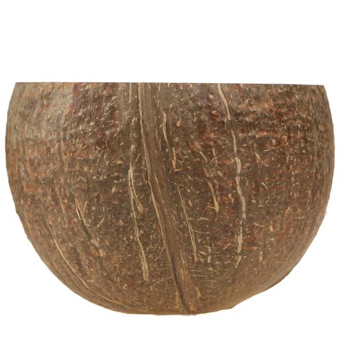 Floristik24 Coconut Shell Natural Decoration Coconut Shell Halved 10cm 6 Pcs