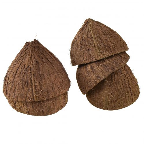 Floristik24 Coconut Bowl Decoration Natural Half Coconuts Ø7-9cm 5 pcs