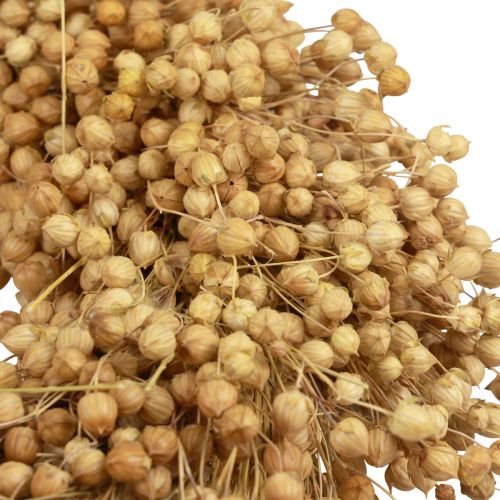 Floristik24 Boho decorative wreath flax decorative wreath natural wreath dry Ø28cm