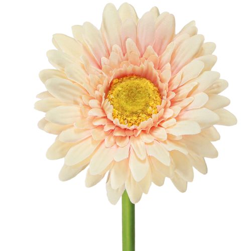 Product Artificial Flowers Gerbera Apricot 47cm