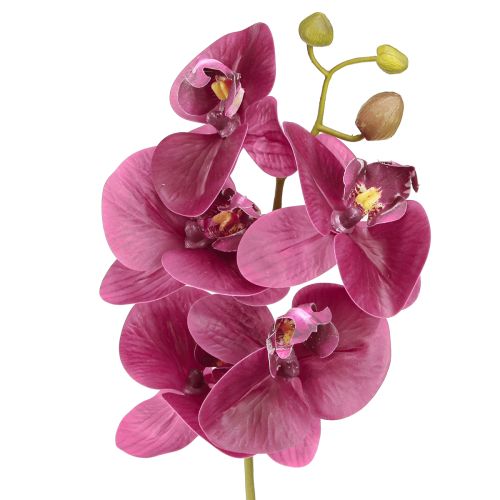 Product Artificial Orchids Purple Artificial Flowers Like Real 56cm 3 Pcs