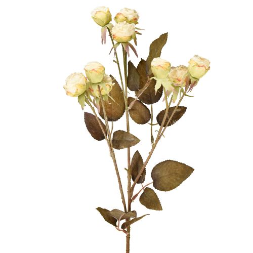 Product Artificial roses wilted Drylook 9 petals cream 69cm