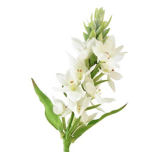 Floristik24 Artificial Flower Garden Star of Bethlehem Artificial Flower White 50cm
