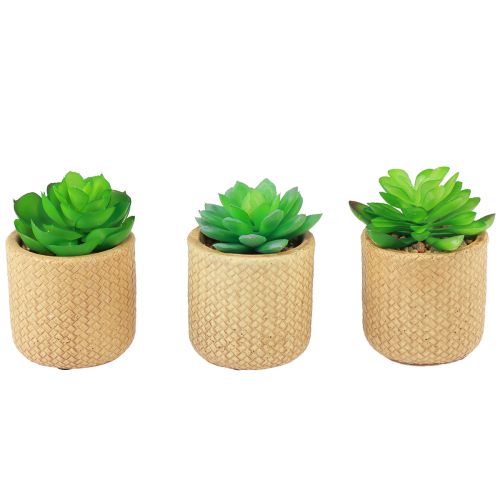 Product Artificial Succulents in Pot Artificial Plants Assorted 10cm 3pcs