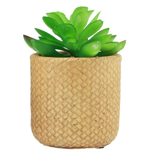 Product Artificial Succulents in Pot Artificial Plants Assorted 10cm 3pcs
