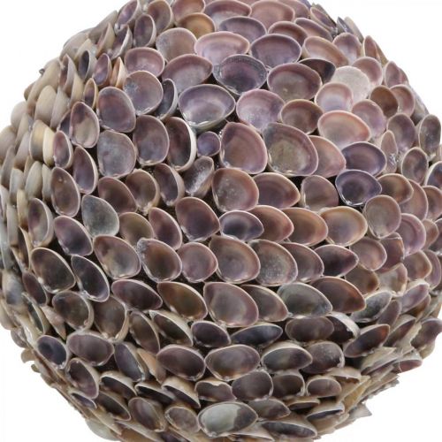 Product Deco ball shells shell ball large Maritime decoration Ø25cm