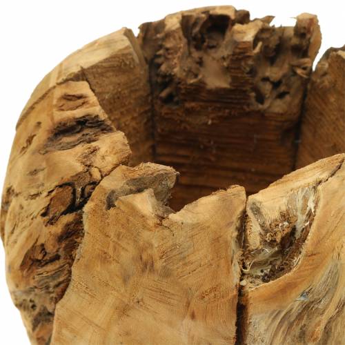 Floristik24 Bowl pot root wood camphor Ø20cm H17cm