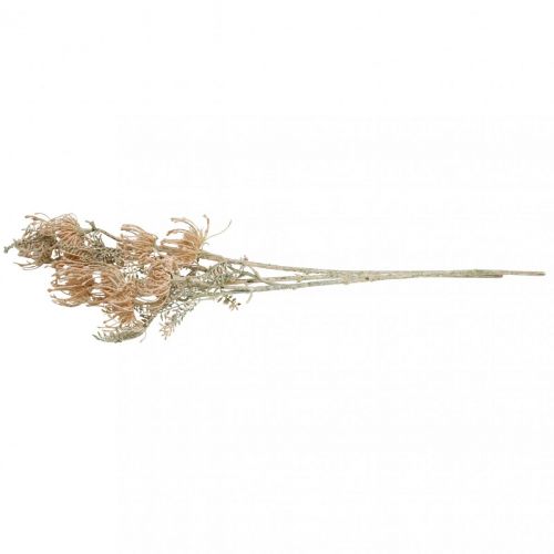 Floristik24 Artificial Flowers, Pincushion Flower, Leucospermum, Proteaceae Washed White L58cm 3pcs