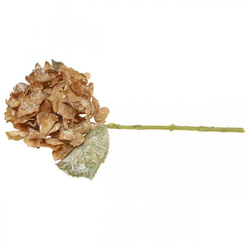 Product Artificial hydrangea dried up Drylook autumn decoration L33cm