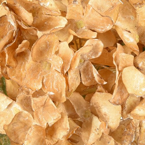 Product Artificial hydrangea dried up Drylook autumn decoration L33cm