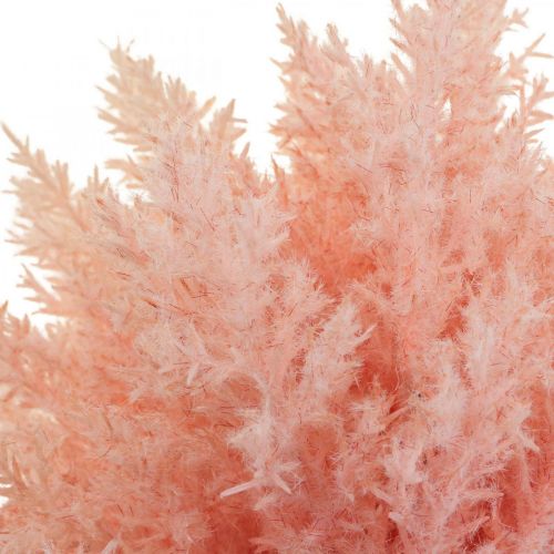 Product Artificial Plant Astilbe Decoration Branches Artificial Pink H38cm 5 Pcs